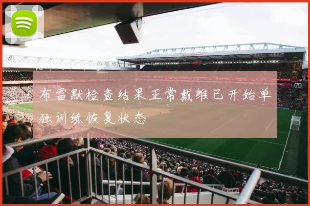 布雷默检查结果正常戴维已开始单独训练恢复状态
